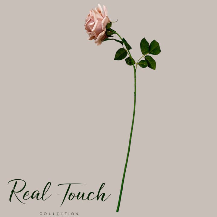 Angel Isabella - Wholesale Artificial Flowers - 26"-Elegant Real Touch rose-blush taupe-muted beige color