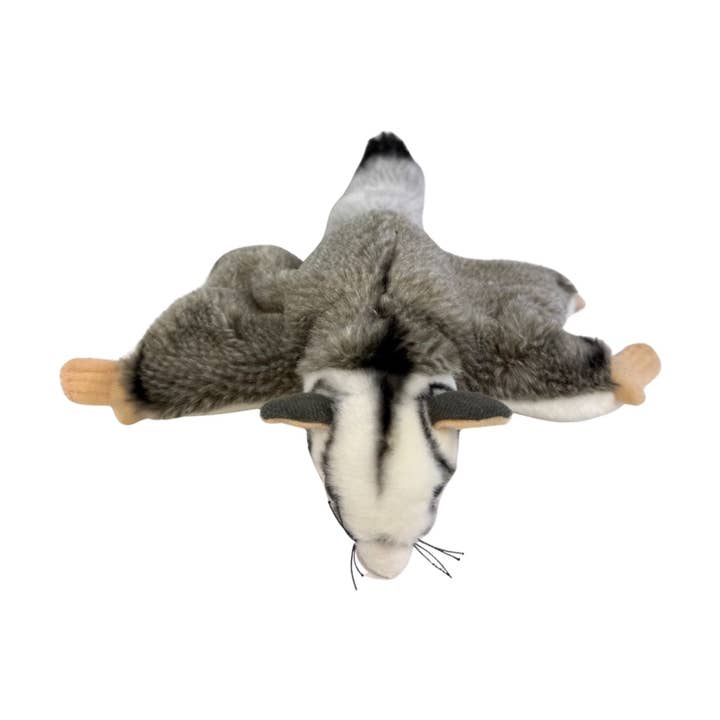 Frisbee - Planeur de Squirrel Australien - 18 cm pour la vente par Bocchetta Plush Toys