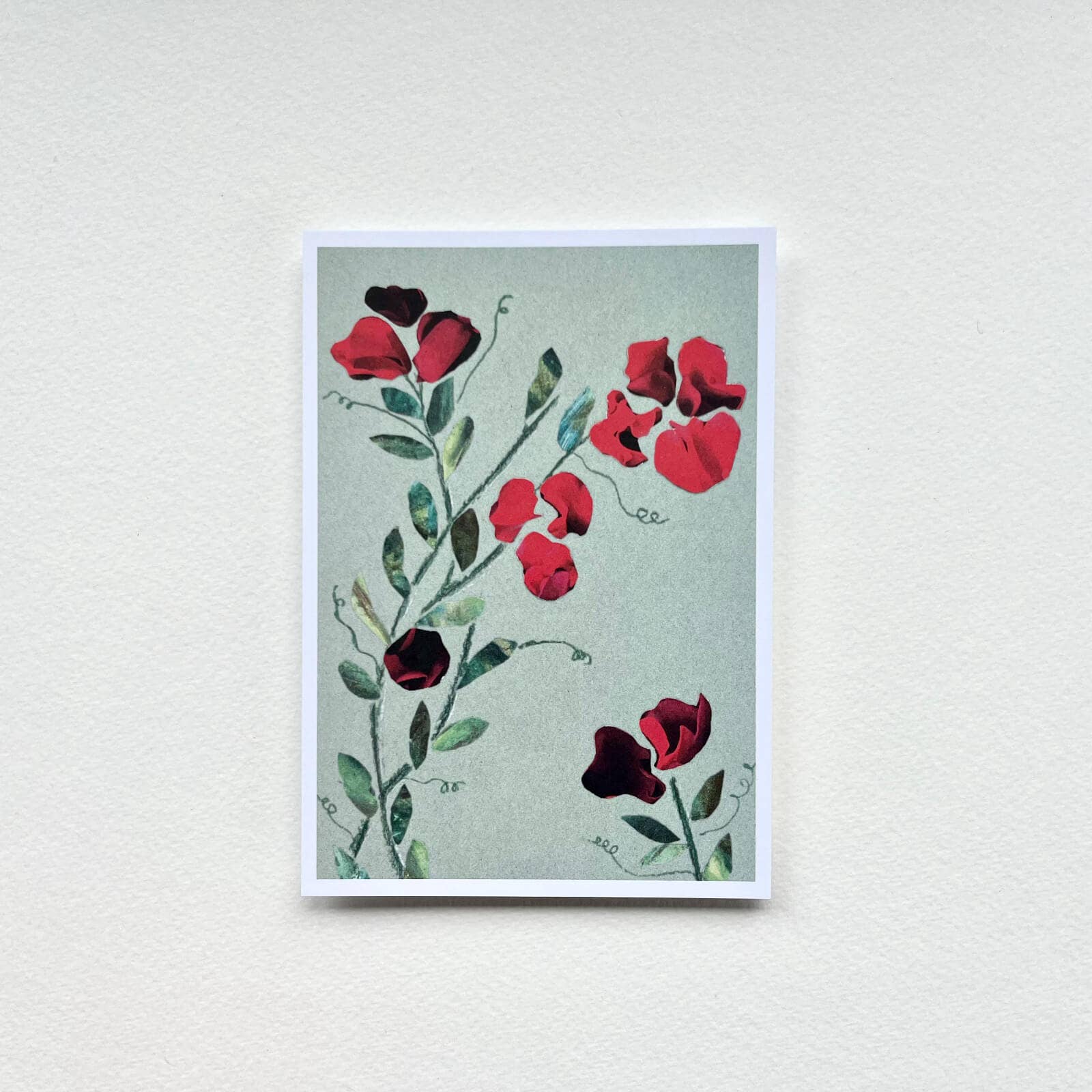 Spitzenkunst - Wholesale Postcard - postcard vetch0