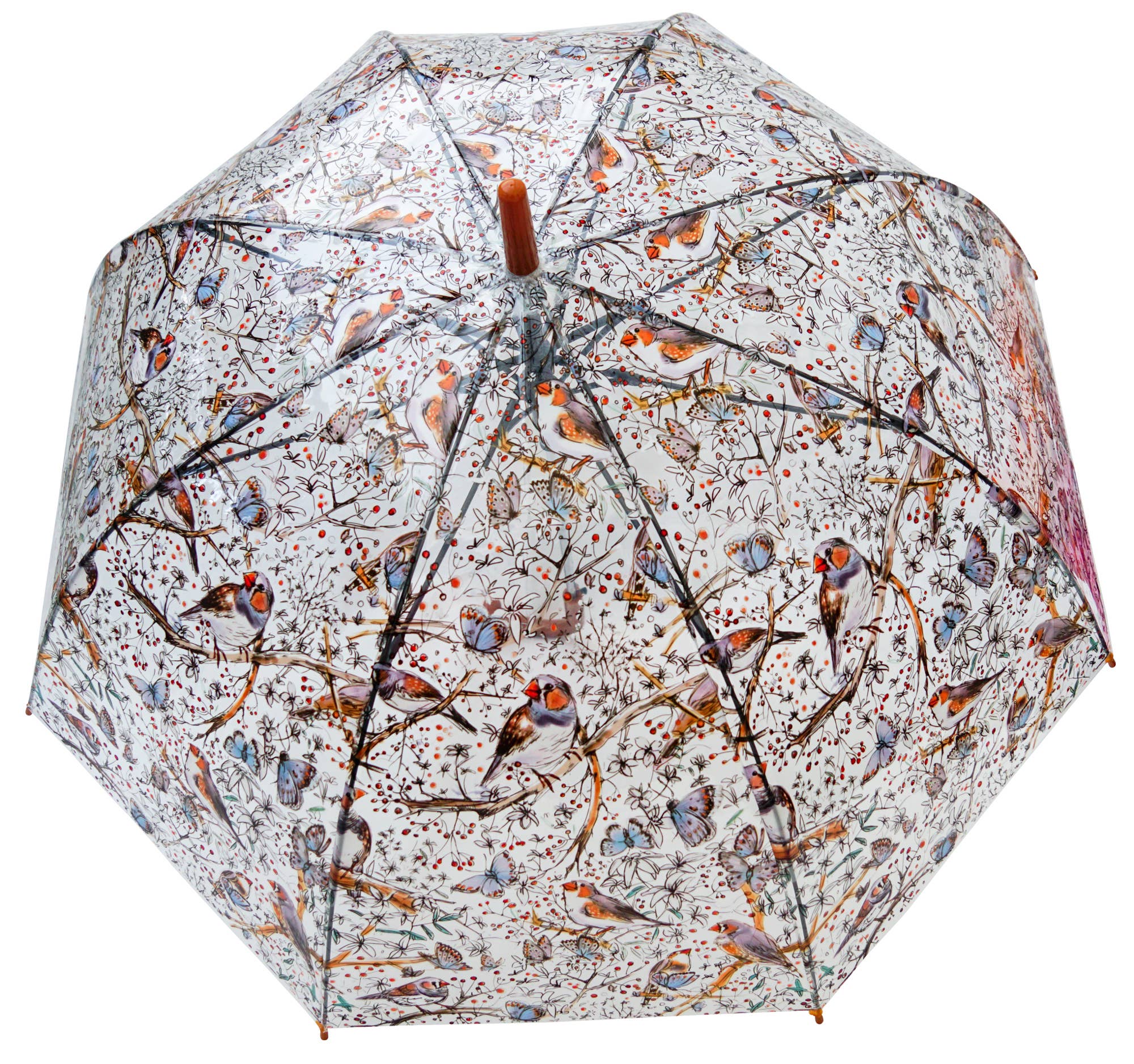 Multiple Colours Zebra Finch Transparent Umbrella for wholesale on Faire1
