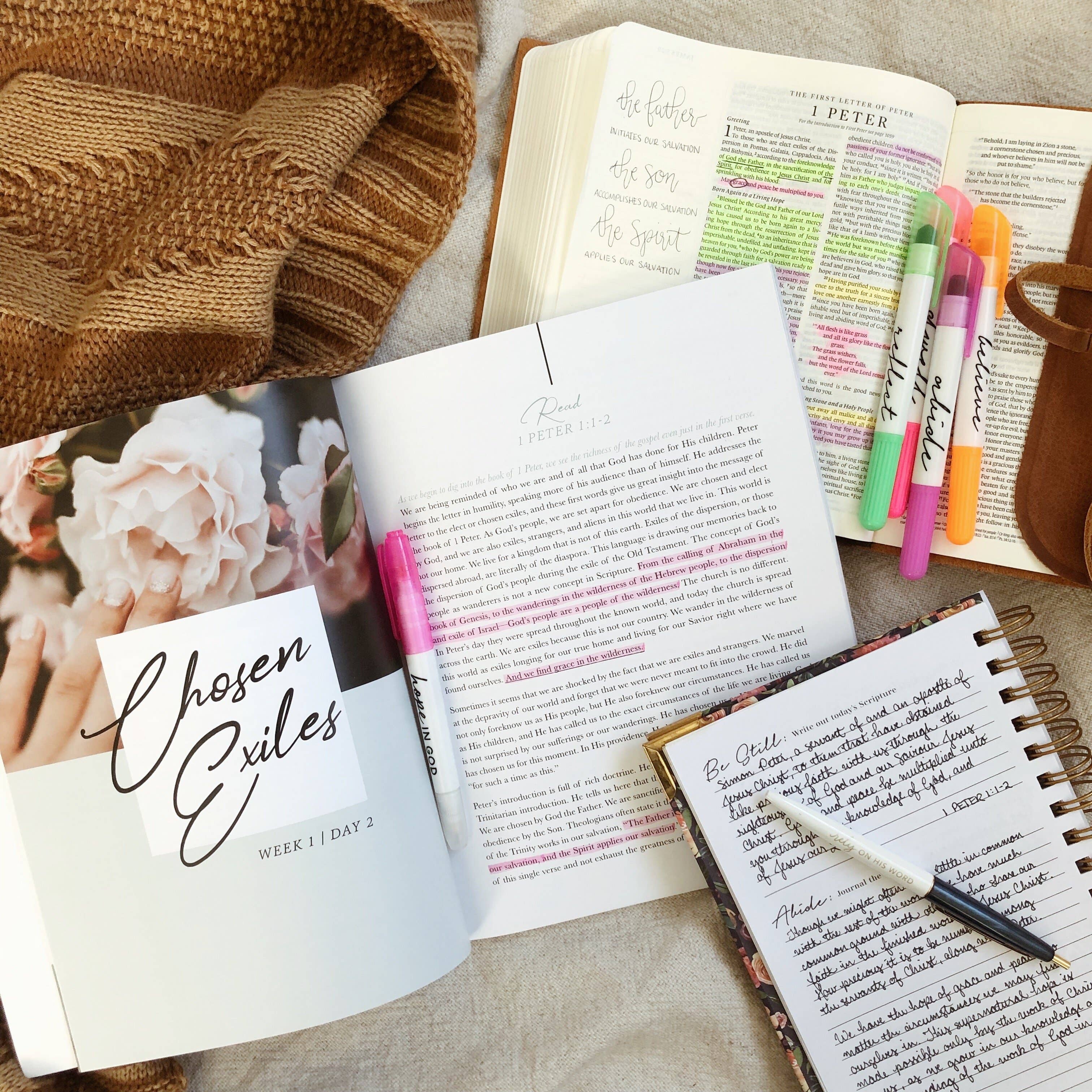 The Daily Grace Co - Wholesale Religion - Grace in the Wilderness | Study on 1 Peter9