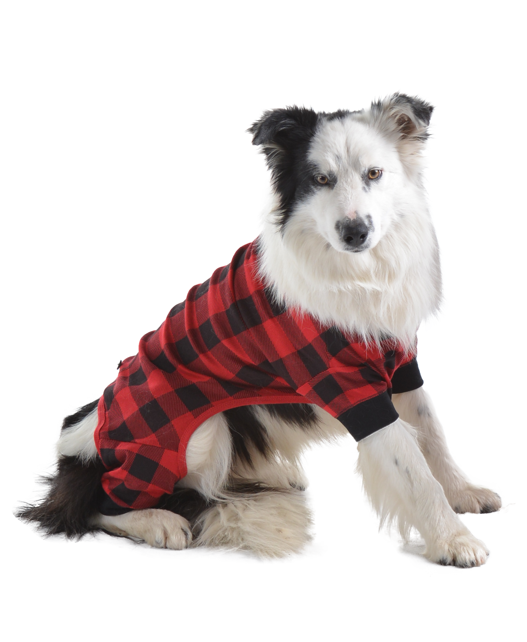 Lazy One - Wholesale Pet Costume - Dog - Plaid Bear Cheeks Dog Flapjacks7