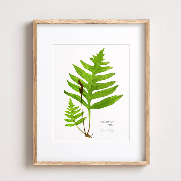 Studio Tuesday – Großhandel Kunstdruck – Botanischer Aquarelldruck des Zimt-Farns0