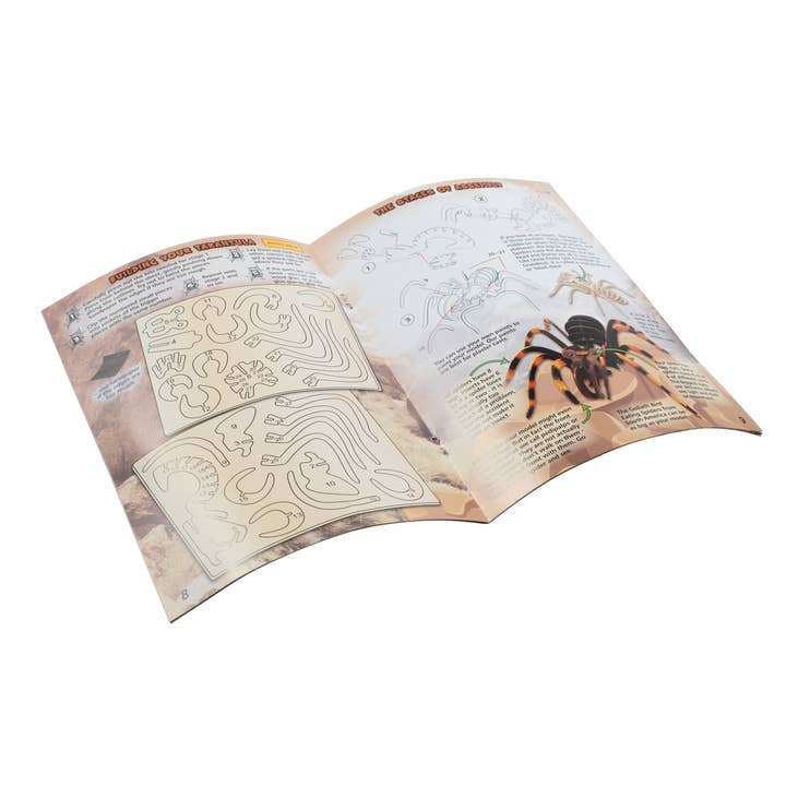 Learning Advantage - Wholesale DIY Craft Kit - Kids - Extreme Spiders of the World2