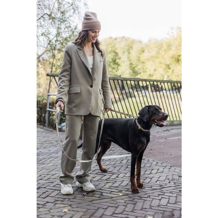 Studio Proud - Vendita all'ingrosso Collare - Cani - Copacabana - Collare per cani dorato con accessori dorati