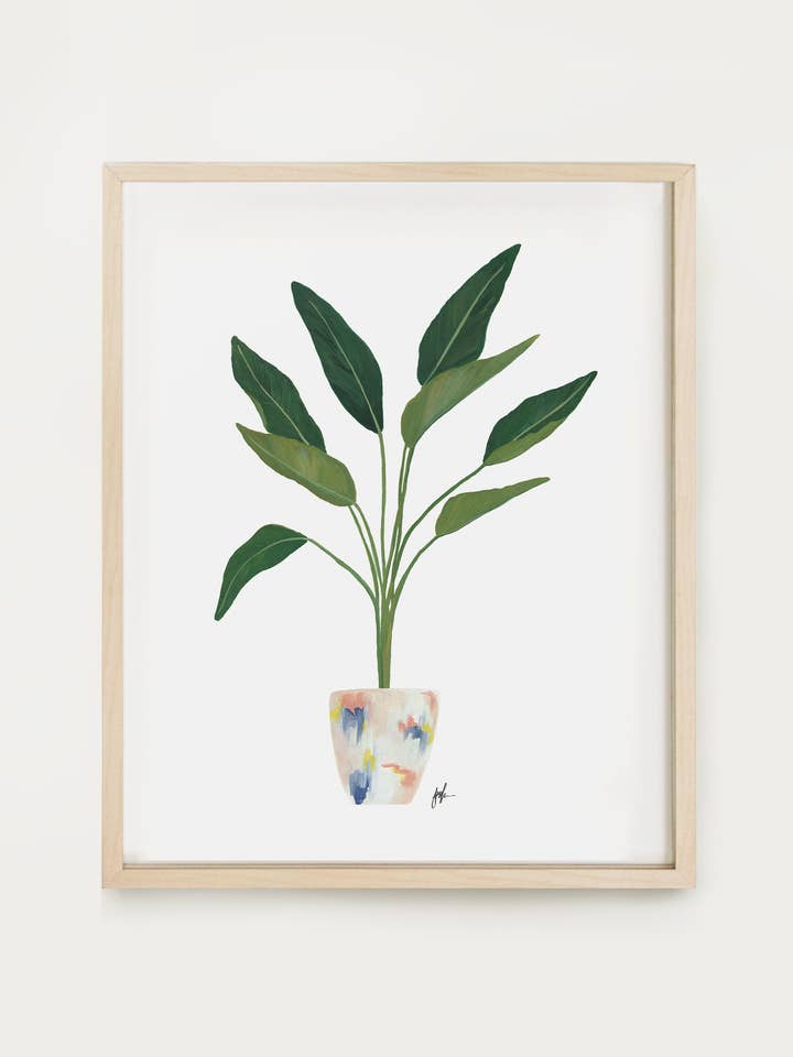 Stampa Uccelli del Paradiso per la vendita all'ingrosso da parte di Our Heiday