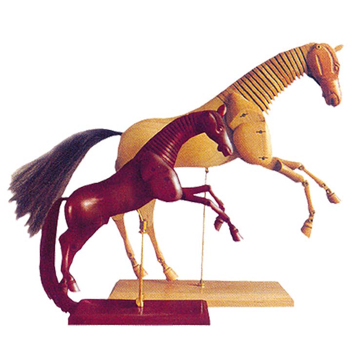 Horse Mannequin for wholesale by Nobel Arts