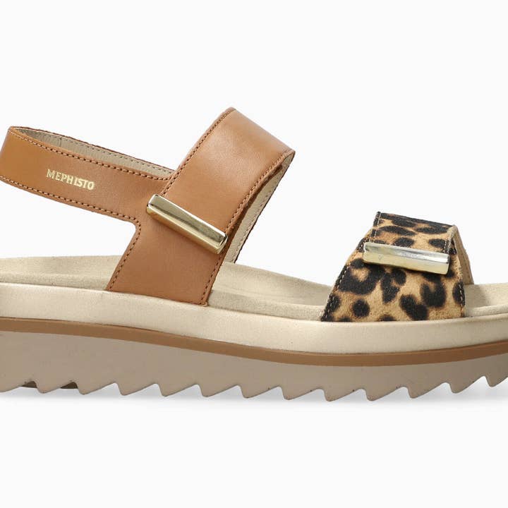 Dominique - Bengal brun pour la vente par MEPHISTO