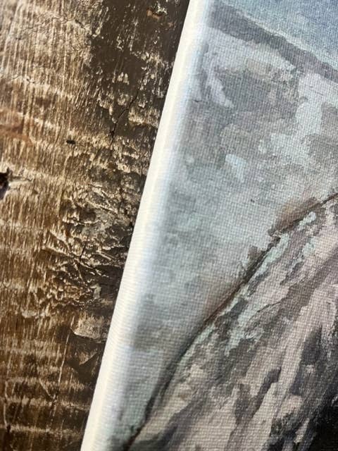 Rustic Nester - Wholesale Art Print - Pelican canvas art print, Coastal art, Ocean theme decor1