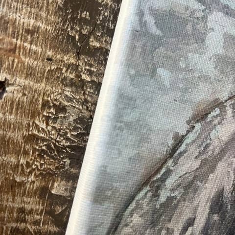 Rustic Nester - Wholesale Art Print - Pelican canvas art print, Coastal art, Ocean theme decor1