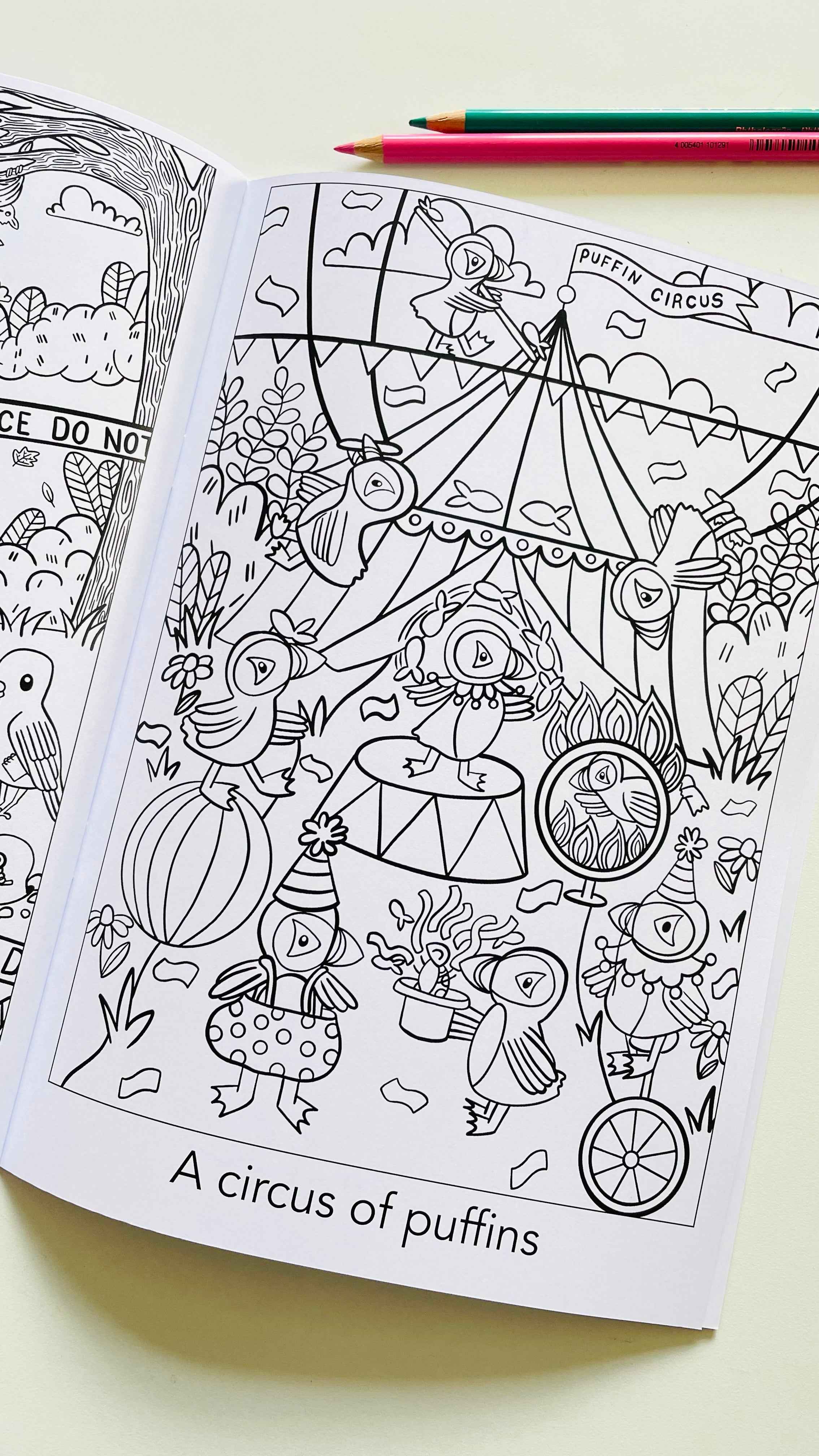 Pixiecraft - Wholesale Coloring & Activity Book - Kids & Baby - A crown of kingfishers: A collective noun colouring book2