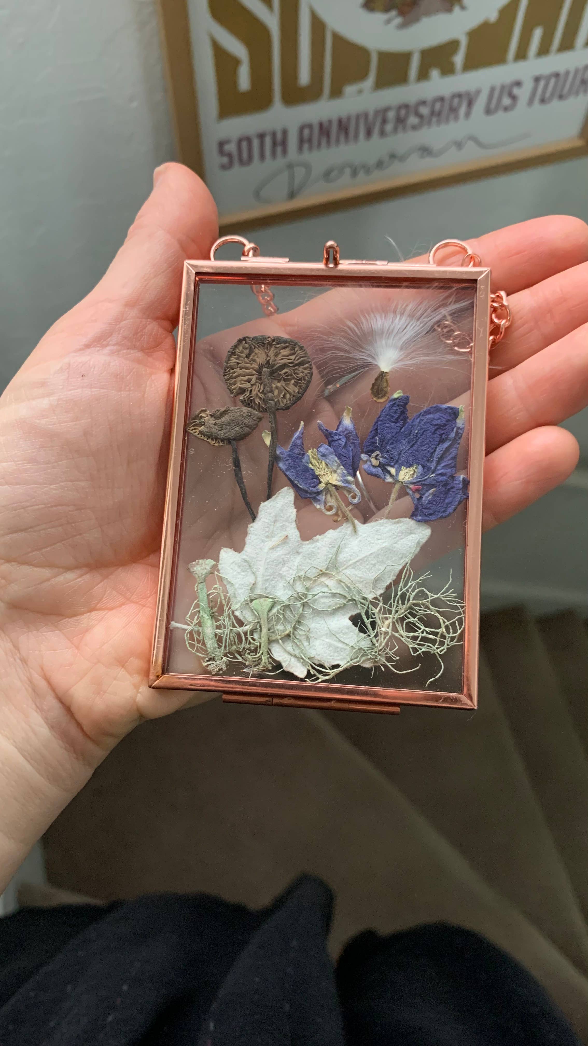 Twig and Snip - Wholesale Dried/Pressed Flowers - Miniature Pressed Flower & Fungi Windows 3.5"x 2.5"4