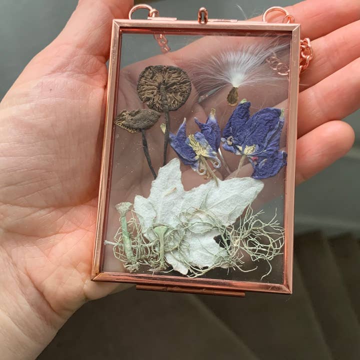 Twig and Snip - Wholesale Dried/Pressed Flowers - Miniature Pressed Flower & Fungi Windows 3.5"x 2.5"4