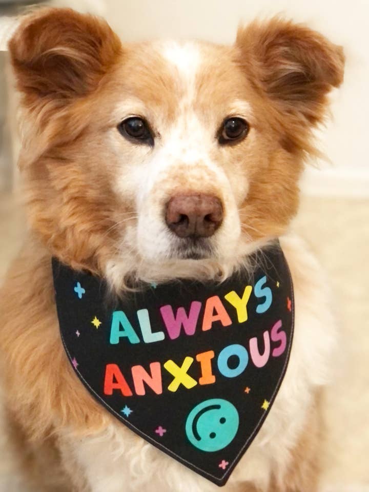 Bandana pour chien toujours anxieux pour la vente par Oaty Bear: Cute Accessories for Cute Dogs