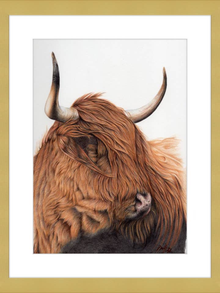 Ginger for wholesale by Gavalina