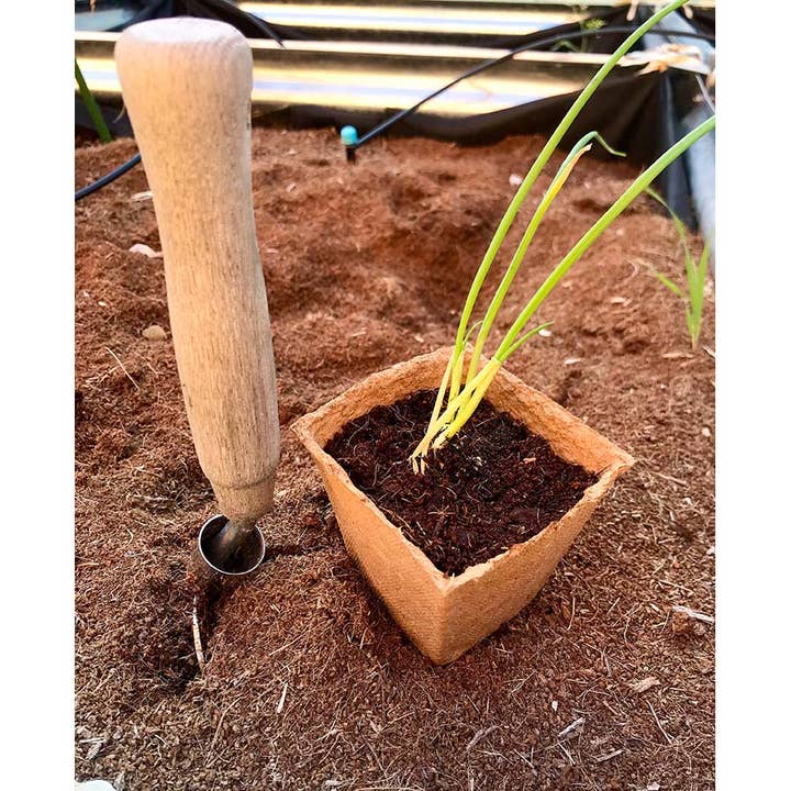 JARDIN Y NATURA OUTDOOR & GARDEN PRODUCTS SL - Wholesale Plant pot - Square natural fiber pots 6x6 cm (6u) - NATPOT CS3