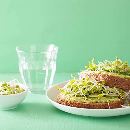 Food To Live - Wholesale Plant Seeds - Organic Radish Seeds for Sprouting – Edible Seeds, Pure