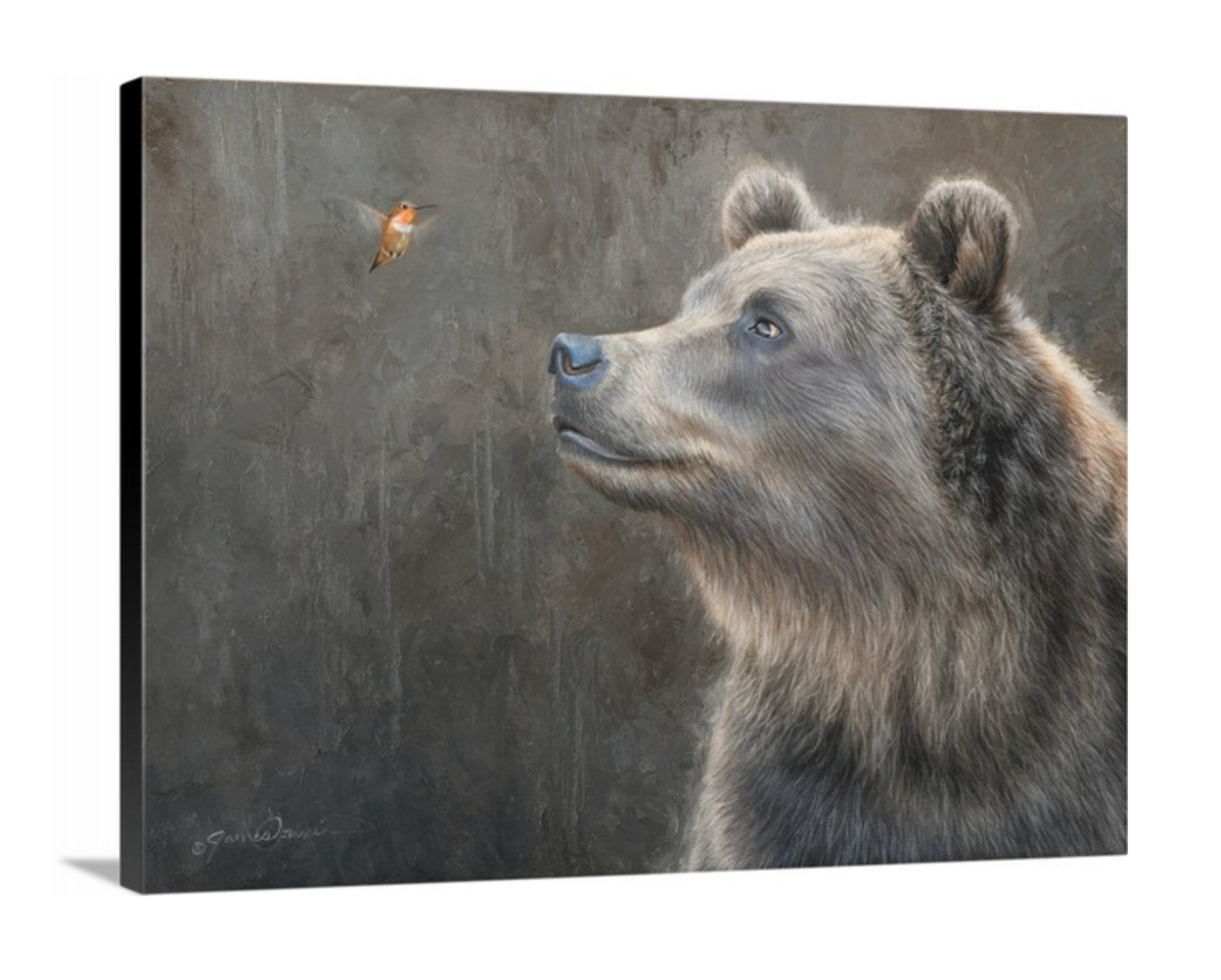 James Corwin Fine Art - Vente Affiche d'art - Grizzly et colibri - The Messenger II - Impression artistique1