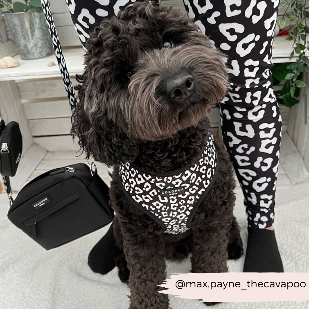 Cocopup London - Vente Harnais – chien - Harnais de cou ajustable léopard noir11