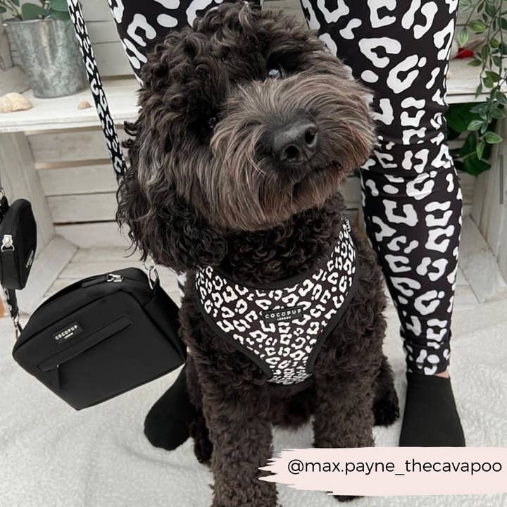Cocopup London - Vente Harnais – chien - Harnais de cou ajustable léopard noir11