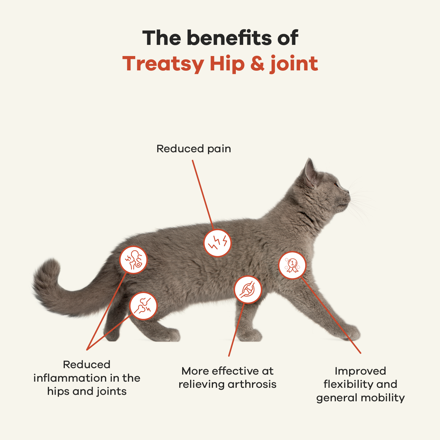Treatsy - Wholesale Pet Supplement - Cat/Dog - Hip and Joint Nutritional Oil for Dogs and Cats | Natural 5