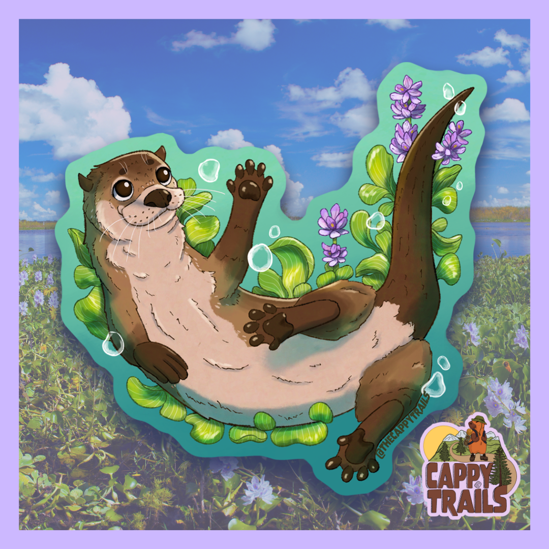 Cappy Trails - Wholesale Sticker - Swimming River Otter Sticker0
