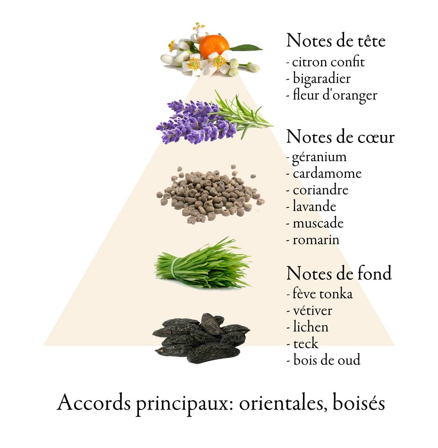 FAMILLE GRASSE PARFUMS - Wholesale Perfume/Eau de Toilette - BOURGOGNE eau de parfum for men 100ml3