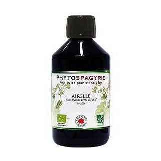 Phytospagyric Plant Lingonberry* 300ml for wholesale by Vecteur Energy