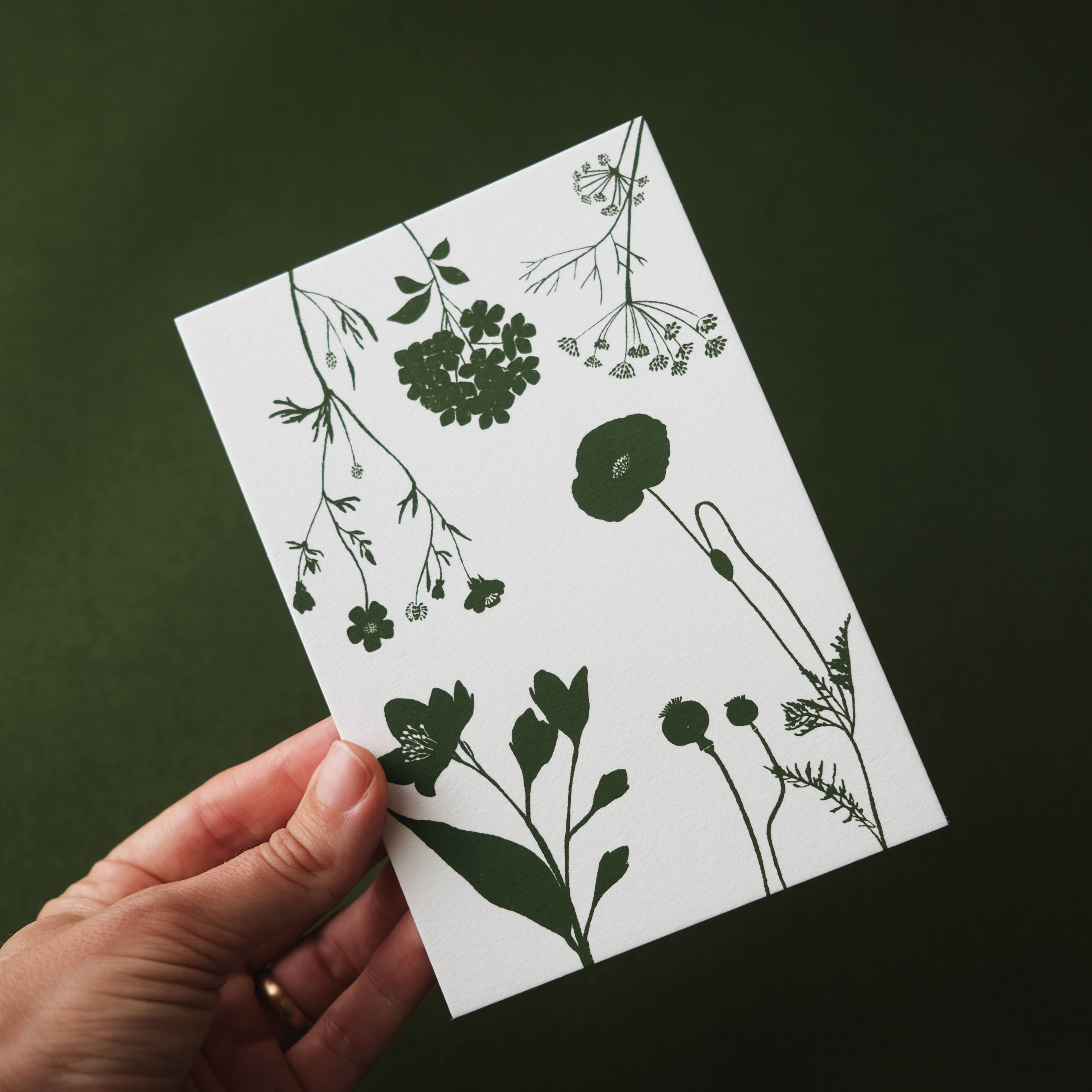 BEIJA-FLOR - Vente Cartes postales - Carte postale jardin de souvenirs0