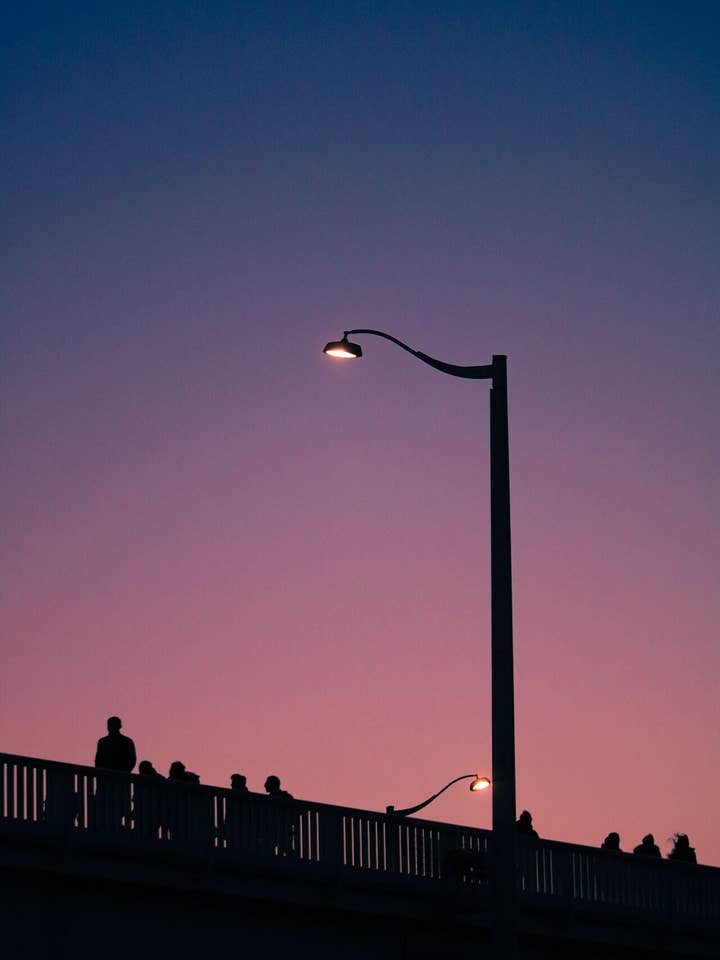 Por la noche para venta al por mayor de Janolo