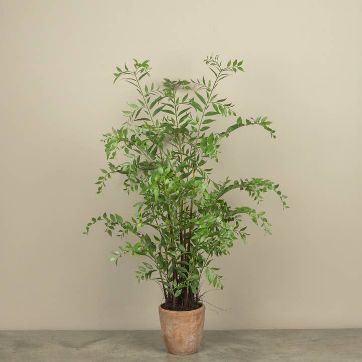 4' POTTED SMILAX PLANT for wholesale by Ragon House