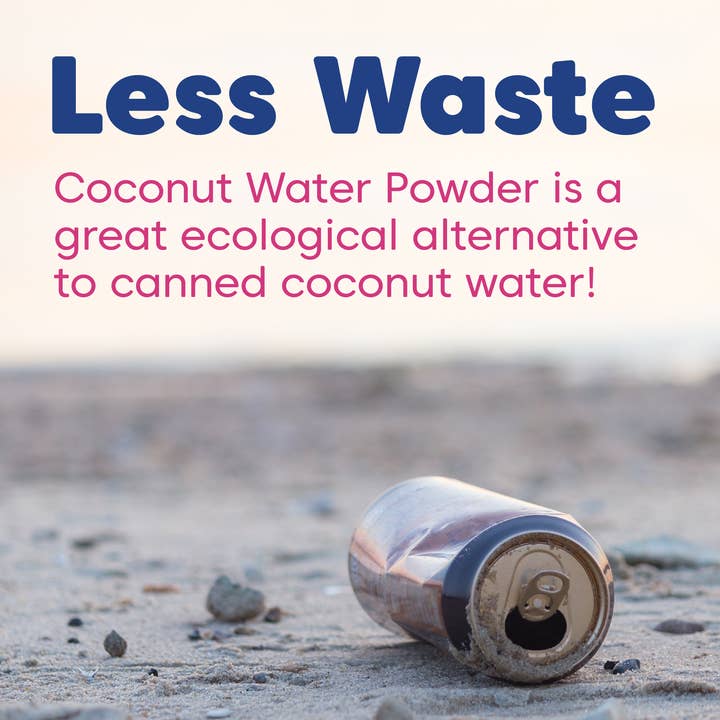 Wilderness Poets - Wholesale Powdered Health Drink - Coconut Water Powder