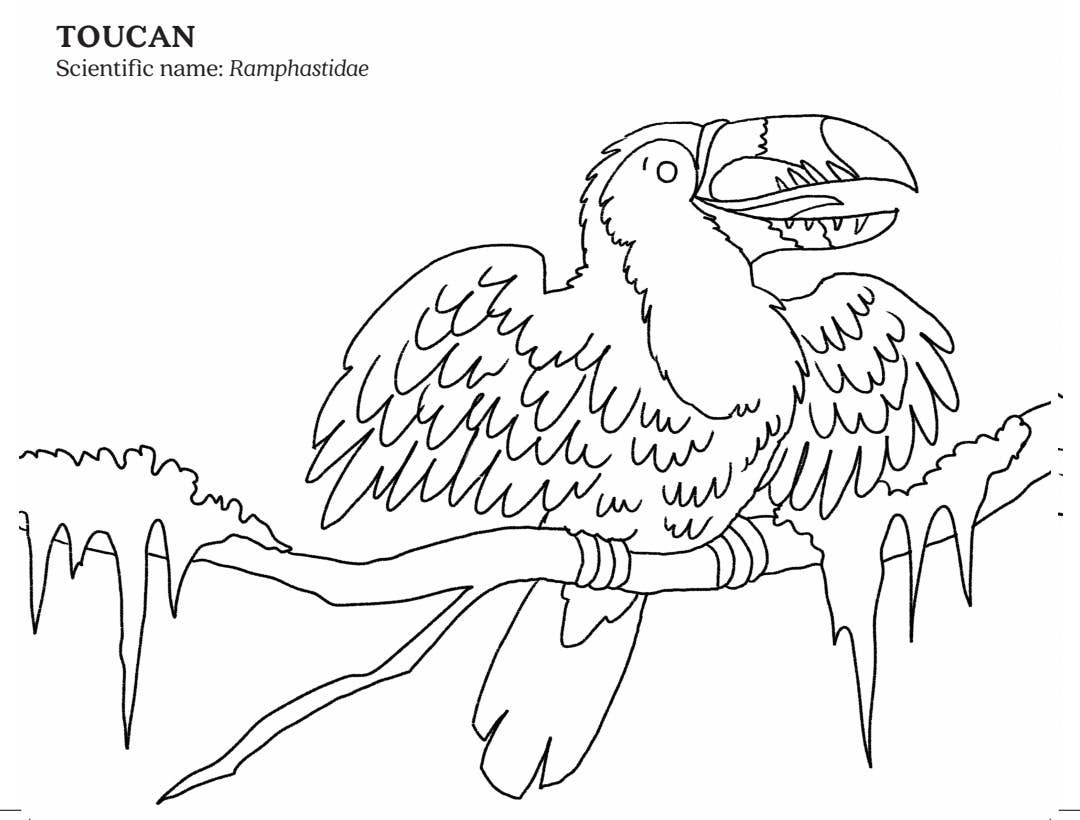 Bonnie Lee Books - Wholesale Preschool Book (3-5) - GO GO SADIE [BOOK, HARDCOVER]6