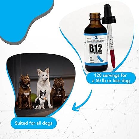 Infinite Health Labs, LLC - Vente Compléments alimentaires – chat et chien - Vitamine B-12 liquide pour chiens et chats5