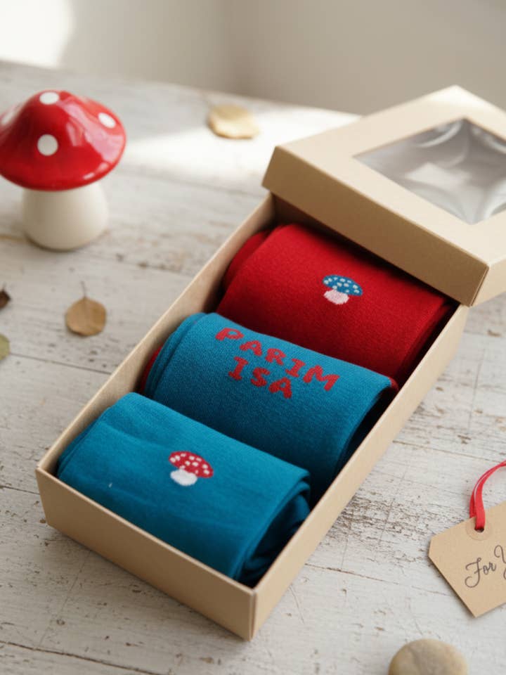 PARIM ISA gaveæske med 3 par sokker JUSS for engroshandel hos Sokisahtel I BestSockDrawer