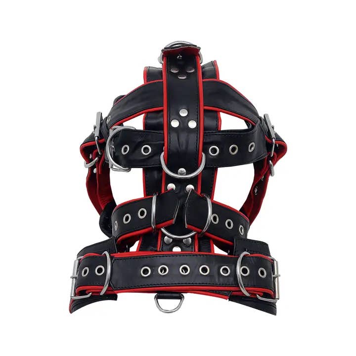 The Master Tanners - Wholesale Sex Toy - Leather Head Harness Hood Fetish Face Muzzle1