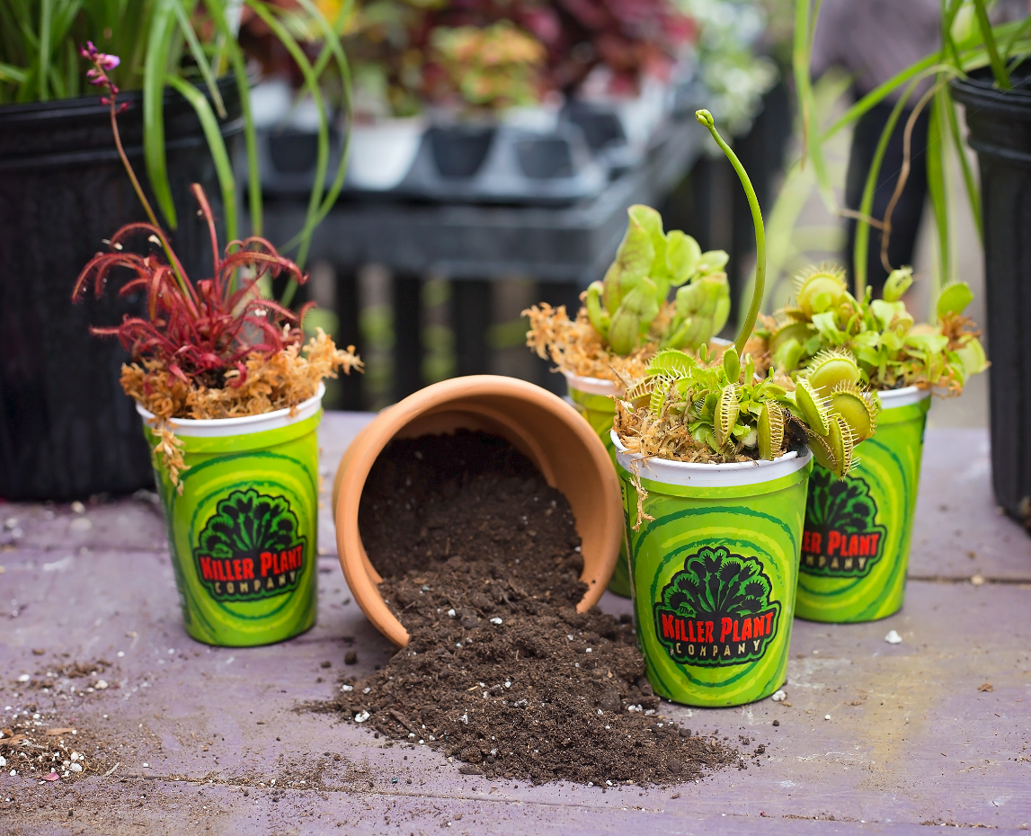 Killer Plant Company - Wholesale Planting/Potting Soil - Optimal Carnivorous Plant Soil Mix1