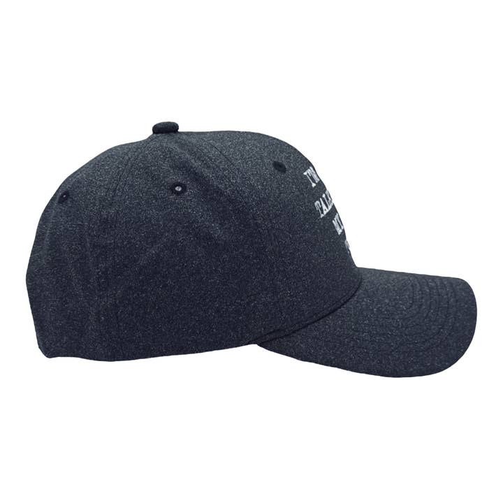 Crazy Dog T-Shirts - Wholesale Baseball Cap - Unisex - Im Only Talking To My Dog Today Hat Funny Dog Lovers Cap