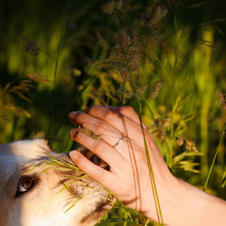 Jeshali - Wholesale Band/Stacked Ring - Everyday Ring (Sterling Silver)2