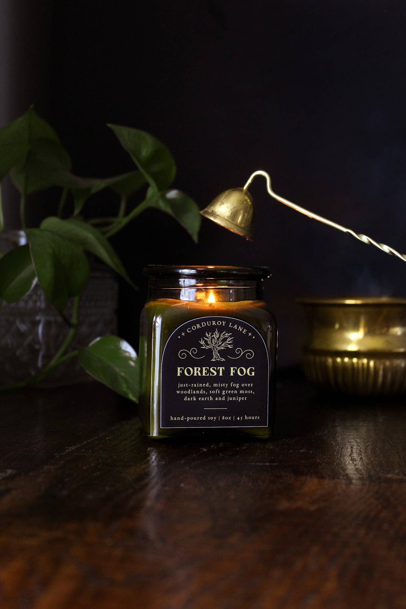 Corduroy Lane - Wholesale Jar/Filled Candle - Forest Fog Apothecary Candle5