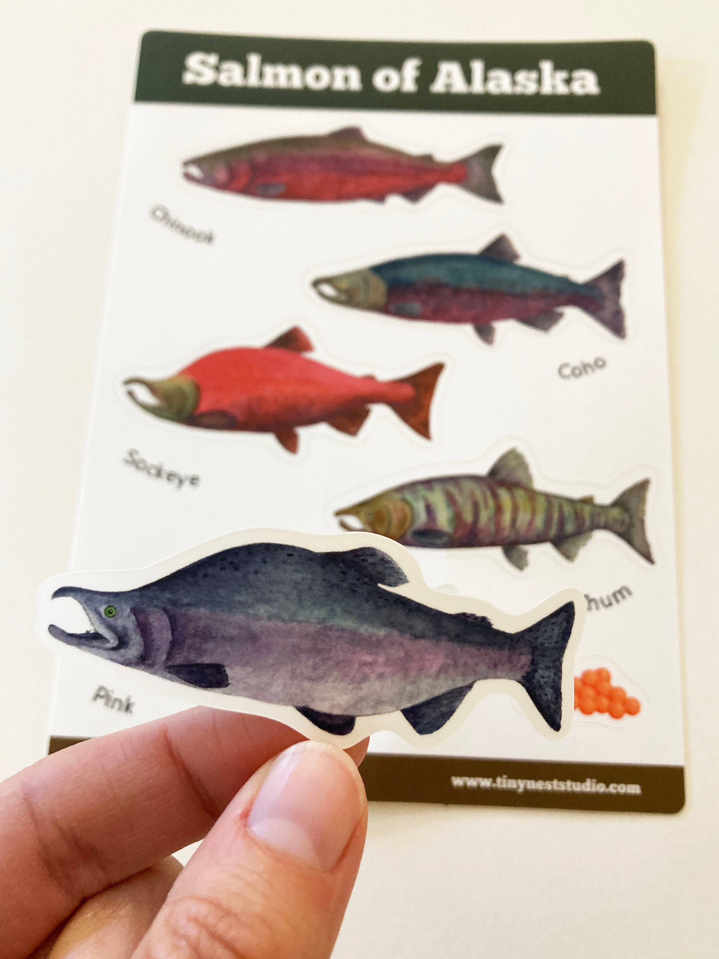 Tiny Nest Studio - Wholesale Sticker - Salmon of Alaska Sticker Sheet1