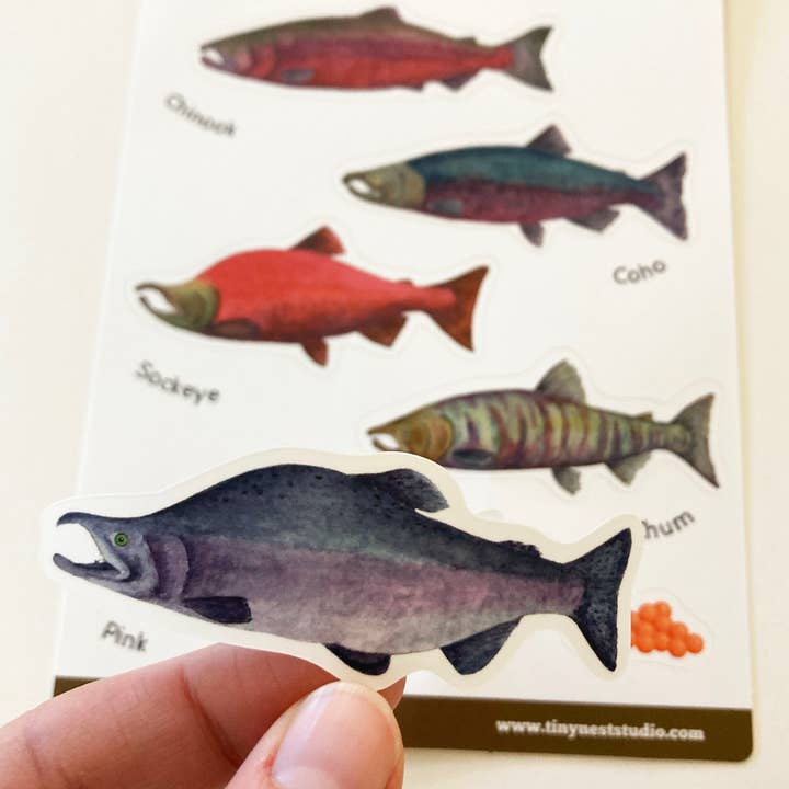Tiny Nest Studio - Wholesale Sticker - Salmon of Alaska Sticker Sheet1
