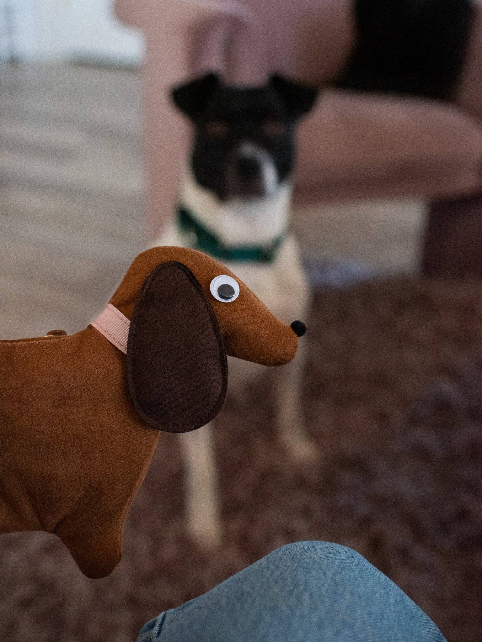 A Shop of Things - Wholesale Pouch – Women’s - Dachshund Smell Proof Bag8