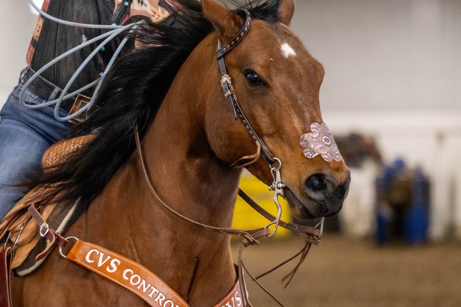 EquiBreathe™ - Vente Équipement d’équitation - EquiBreathe™ Patch Nasal Équin - Cuir Outilé10