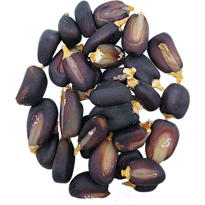 Alma Semillera - Wholesale Dried/Dehydrated Vegetables - Heirloom Posole/Hominy Bulk Sizes – Dried