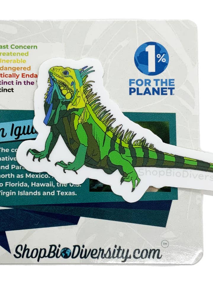 Adesivo Vinil Iguana Verde - Dec Réptil Durável e Impermeável por atacado de Shop BioDiversity
