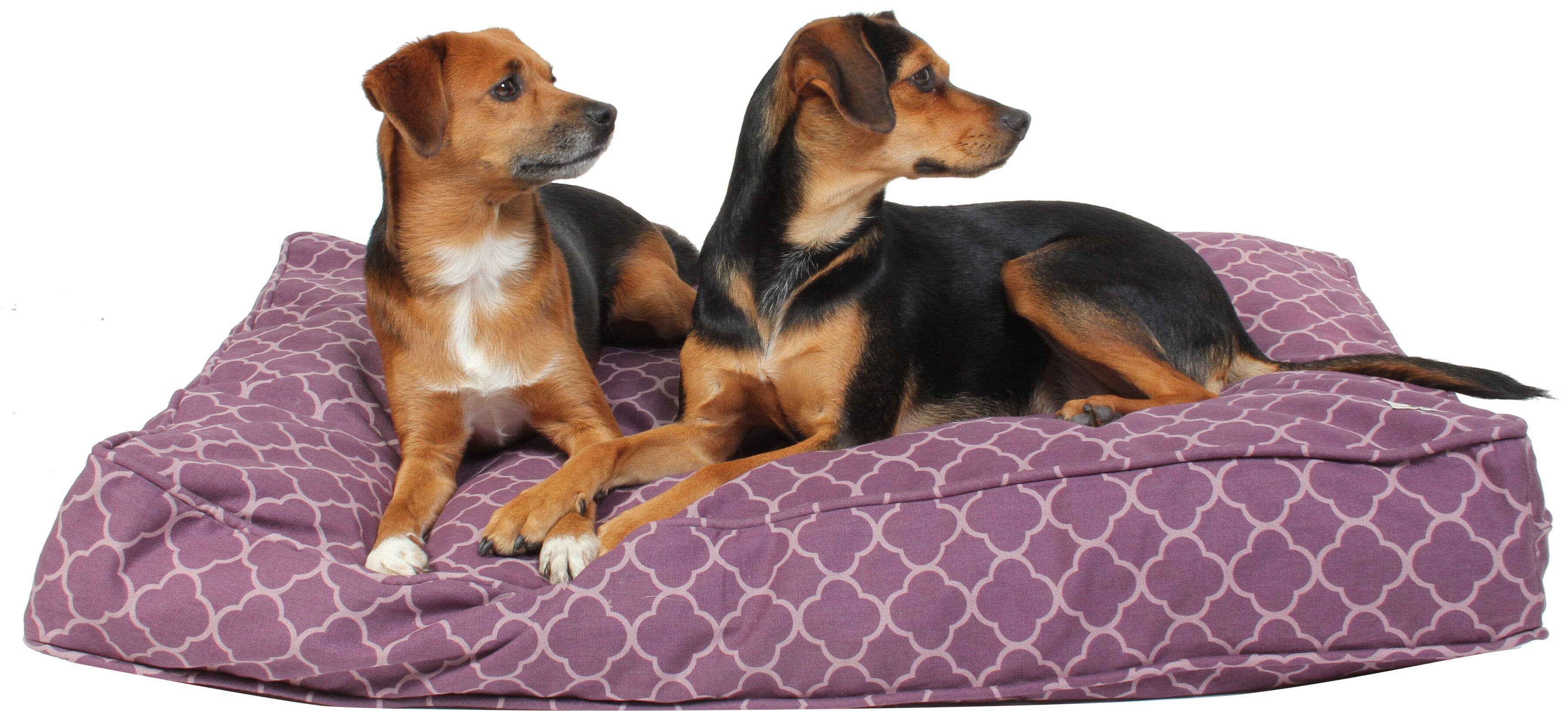 Molly Mutt - Venta al por mayor Cama - Perros - Edredón de perro de la realeza1