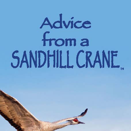 Advice Sandhill Crane-Mini-Mark for wholesale by Advice for Life by Your True Nature