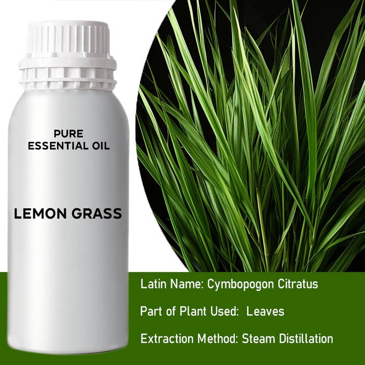 Lemongrass Bulk Essential Oil 1kg for wholesale by AW Aromatics Limited