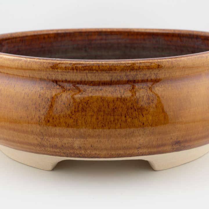 Bonsai Pot for wholesale by Swan City Ceramics